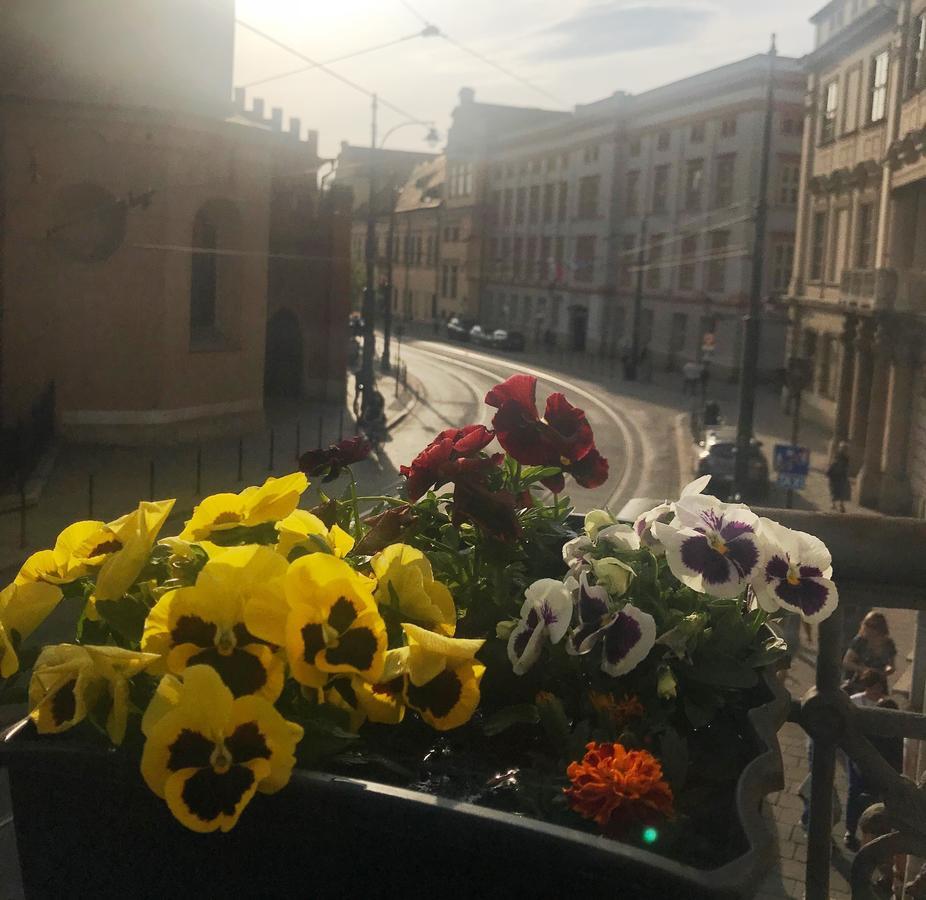 Amber Guest Rooms - Krakow — Photos 3